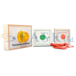 Carelink Call Button & Light System